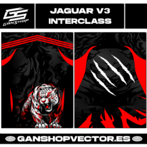 JAGUAR V3 INTERCLASS