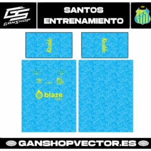 SANTOS ENTRENAMIENTO