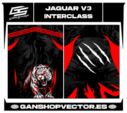 JAGUAR V3 INTERCLASS