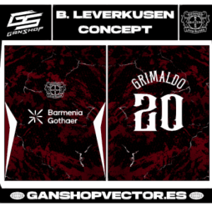 BAYER LEVERKUSEN CONCEPT