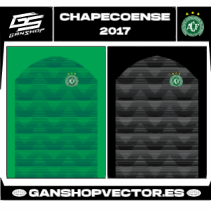 CHAPECOENSE 2017