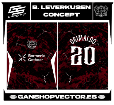 BAYER LEVERKUSEN CONCEPT