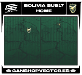 BOLIVIA SUB 17 HOME 26