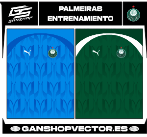 PALMEIRAS ENTRENAMIENTO