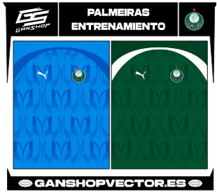 PALMEIRAS ENTRENAMIENTO
