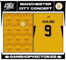 MANCHESTER CITY CONCEPT