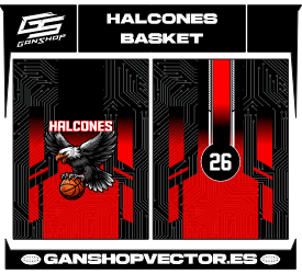 HALCONES BASKET